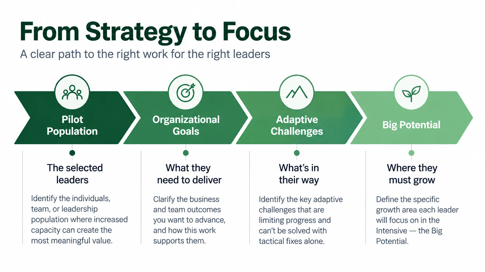 From Strategy to Focus: Pilot Population, Organizational Goals, Adaptive Challenges, Big Potential